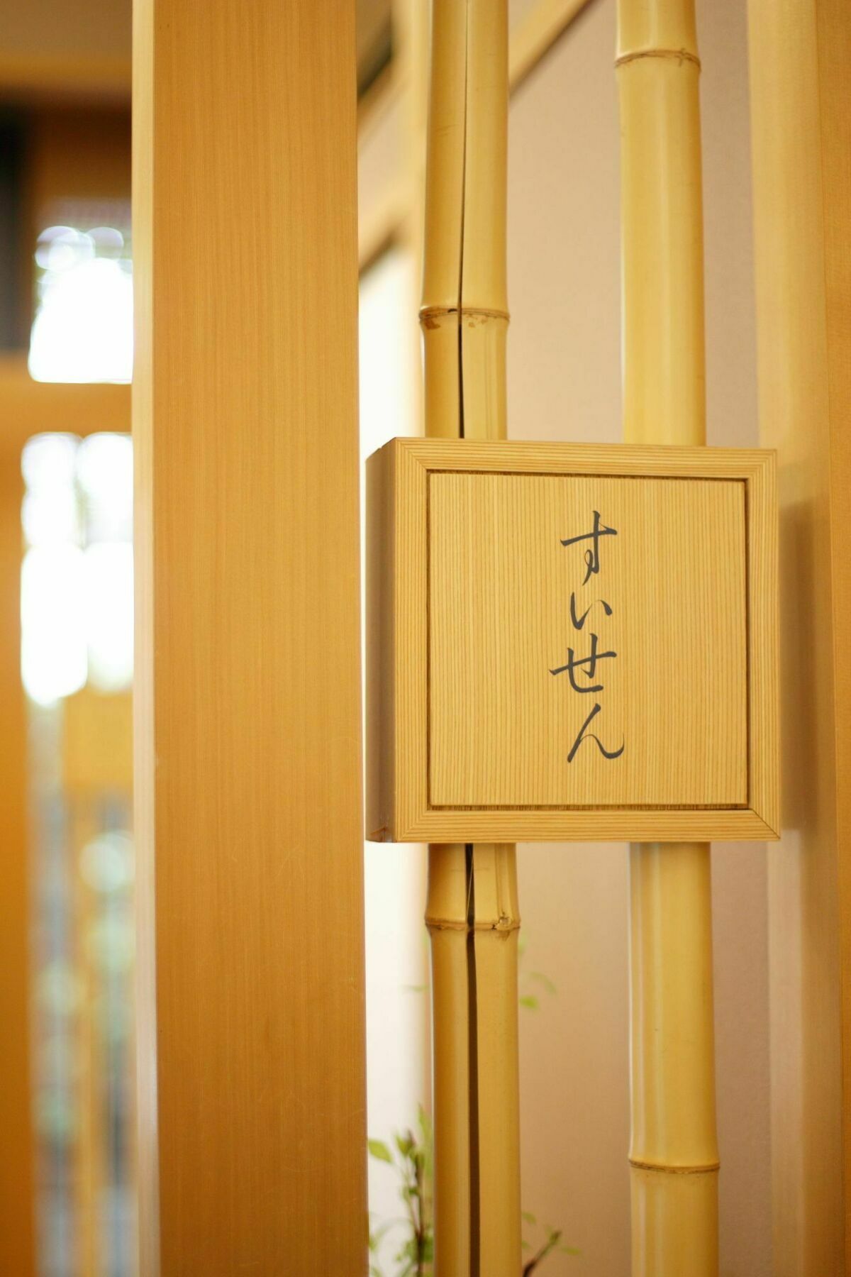 酒店 Garden Palace 3*