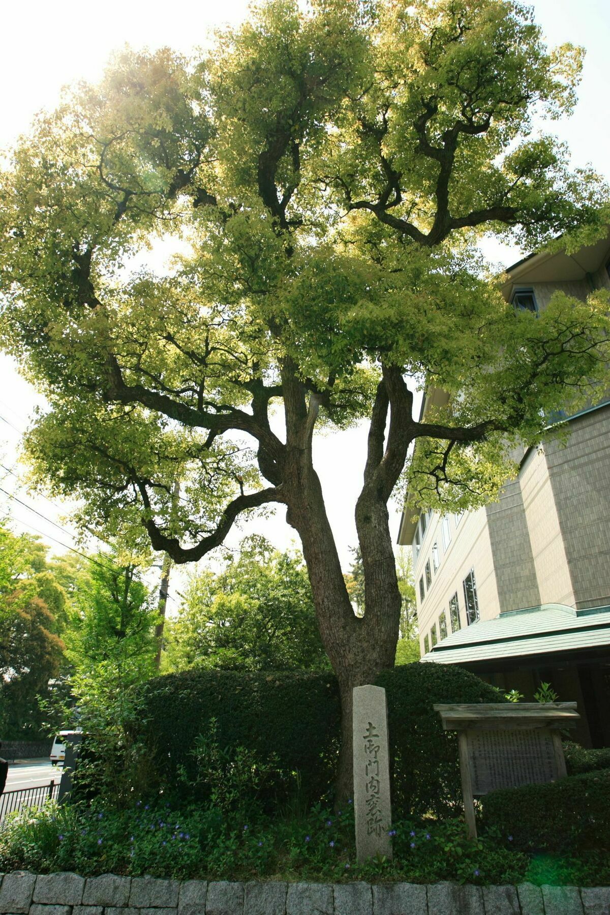 Garden Palace 酒店 京都