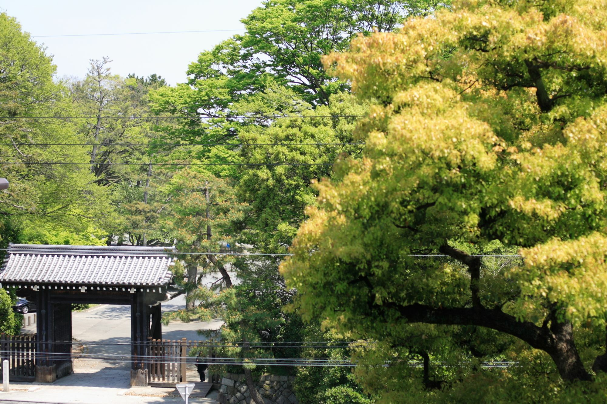 酒店 Garden Palace 3*